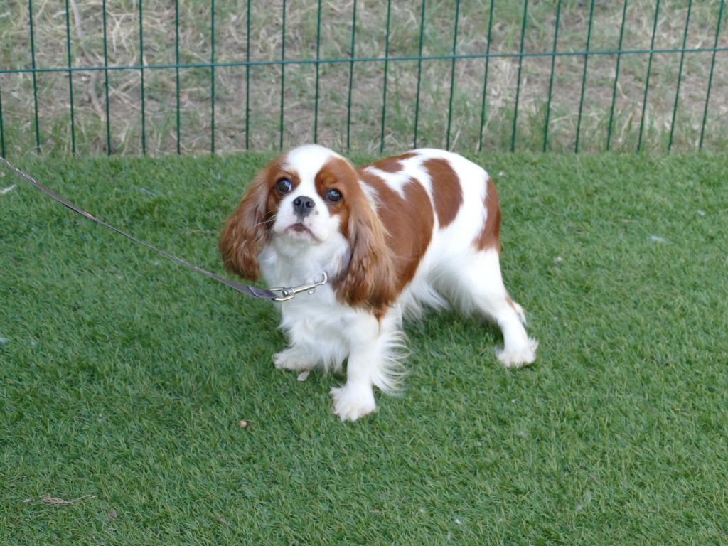 Uska Du Temps Des Amazones