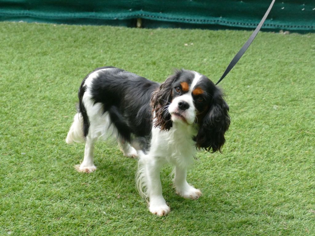 Una Du Temps Des Amazones