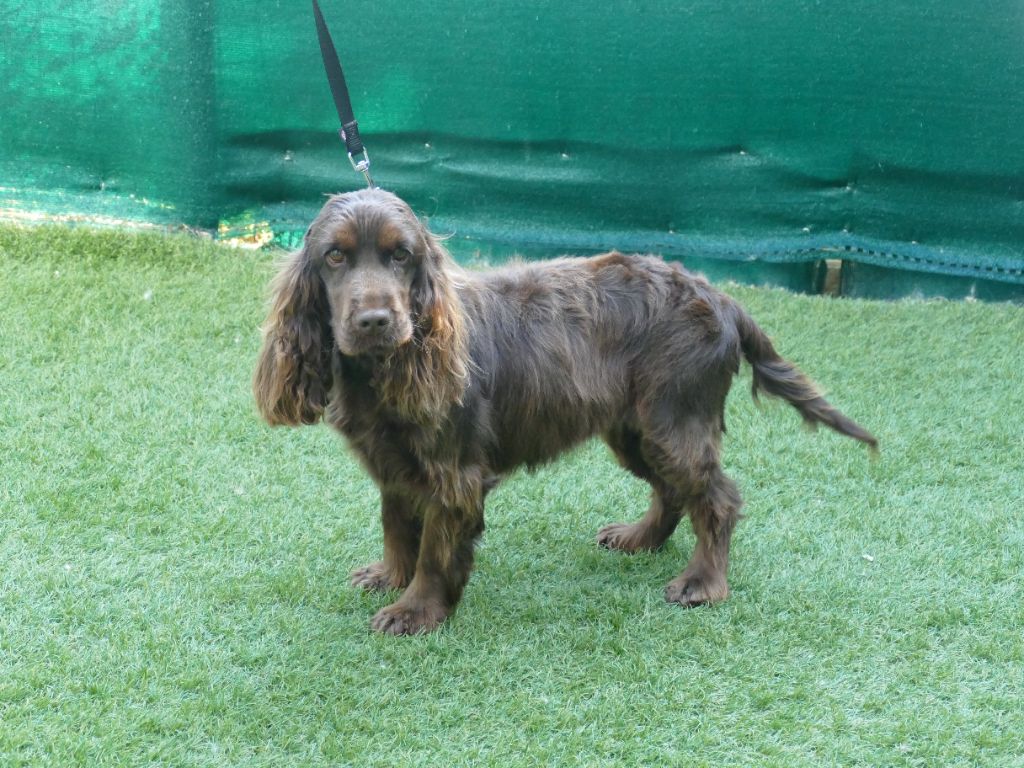 Vania Guardiani Della Amazzoni