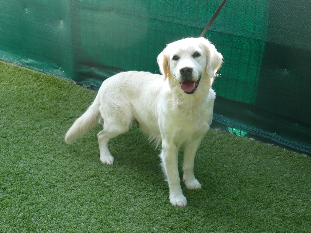 SkaÏ Du Domaine De Dague