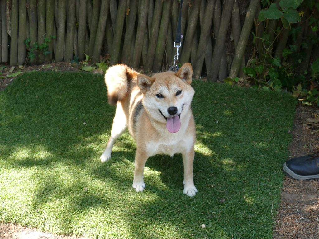 Ulie dite umy Du Temps Des Amazones